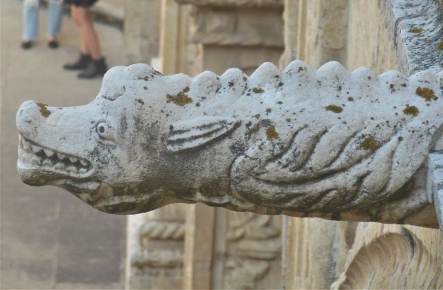 ribbedforherpleasure