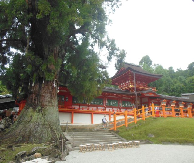 shrineandtree